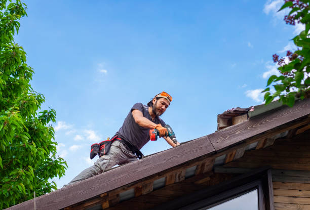 Best Solar Panel Roofing Installation  in Emigration Canyon, UT